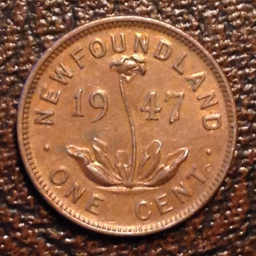 1947 Newfoundland Canada George VI One Cent - FREE US SHIPPING cd-