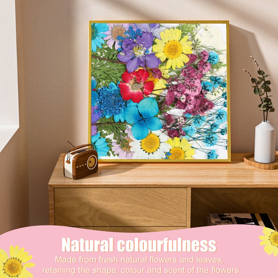 160 Pcs Dried Pressed Flowers for Resin Molds Colorful Real Pressed