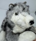 Foto 1 di 8