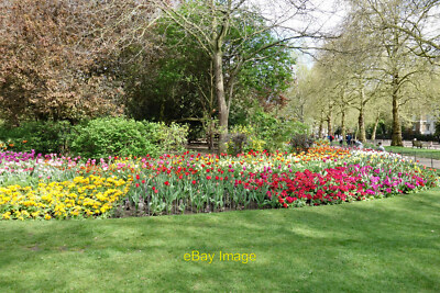 Foto 6x4 Blumenbeet St James's Park Westminster um 2017