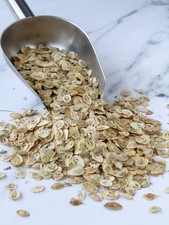 Angelica (Golpar / Hogweed) 100g – Aromatic Spice for Cooking