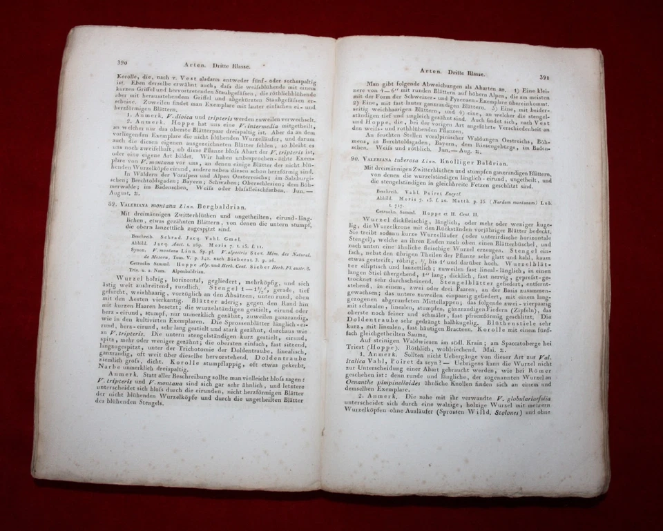 Röhling: Deutschlands Flora, 1823 / 1831. Botanik - Bild 4 von 4