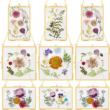 9 Pieces Double Glass Frame for Pressed Flowers Hanging Picture Frames Photo Dis