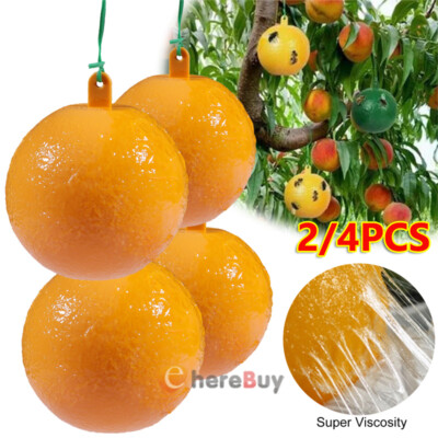 Fruit Fly Balls Fly Ball Trap Sticky Insect Ball Mosquito Ball Trap Home Garden