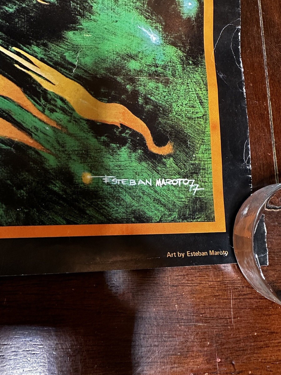 Tableaux de Sylvain DIEZ の絵(ポスター)& 額縁 Tableaux de Sylvain DIEZ の絵(ポスター)& 額縁（商品サイズ