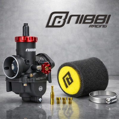 #ad NIBBI PEZ 30mm Carburetor CG250 Hawk 250 TBR7 TT250 X Pro 250 Lifan Loncin Rato $77.85