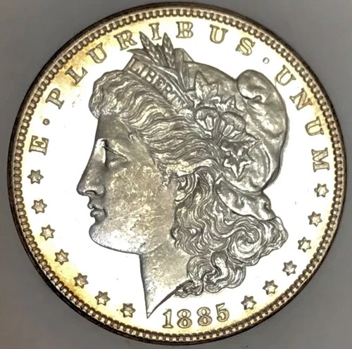 1885 P MORGAN DOLLAR! EPIC DMPL! 30+INCH BLK LIQUID MIRRORS$$ GEMBU++++NR #64636