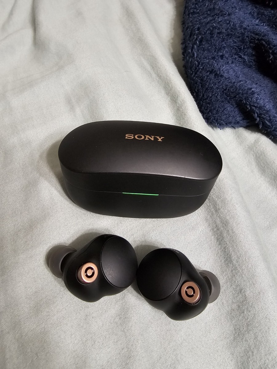 Sony WF-1000XM4 Wireless In Ear Headphones - Black | eBay