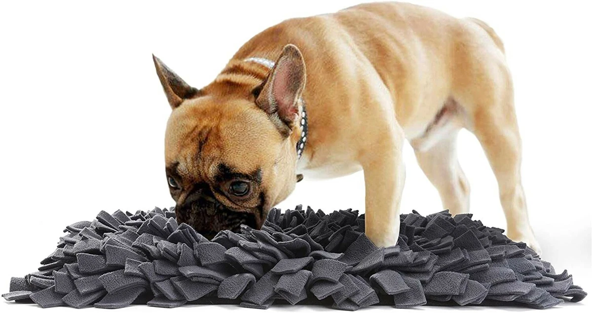 Ebay snuffle mat cheap