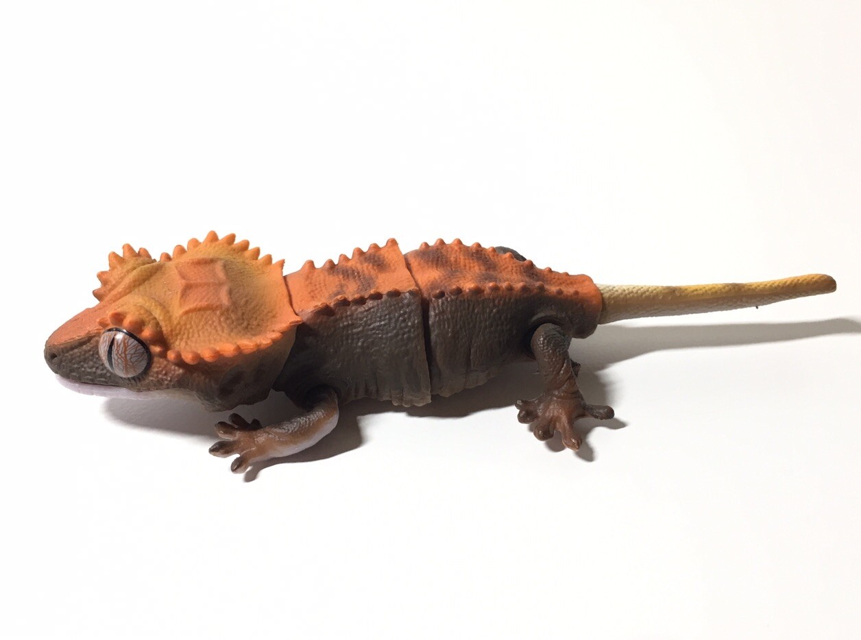 Bandai Gashapon Crested Gecko Lizard Action Figure Bicolor Halloween | eBay