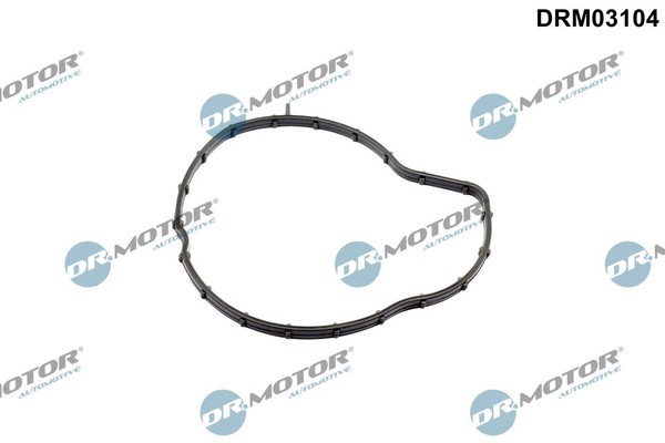 Dr.Motor Automotive DRM03104 Dichtung Wasserpumpe FüR CitroËN DS Fiat Ford Opel-image