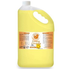 Organic Cold-Pressed Evening Primrose Oil 100 Pure Skin Hair Face Moisturizer