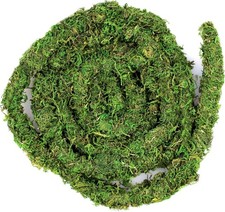 Galpagos Moss Vine 12FT Real Moss for Reptile Tank Decoration Green