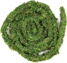 Galpagos Moss Vine 12FT Real Moss for Reptile Tank Decoration Green