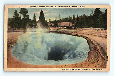 c1940s Yellowstone National Park Morning Glory Pool Haynes Linen Postcard G7