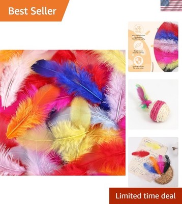 Children Safe 300-Pc Rainbow Feather Craft Pack - 3-5 Inch for Fun DIY Projects