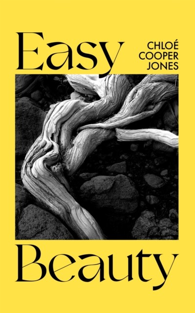 Easy Beauty On Seeing and Being Seen by Chloé Cooper Jones (Hardback Book) - Image 2