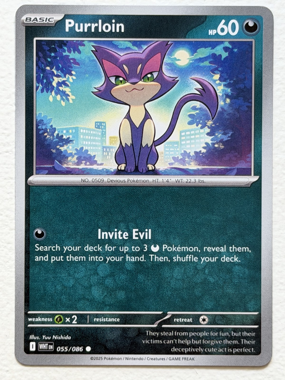 Purrloin 55/86 White Flare Common Near Mint Pokemon