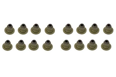Reinz Jeu De 12 Joints De Tige De Soupape 12–37621–01 – Compatible BMW, Peugeot, MINI – FPM Marron