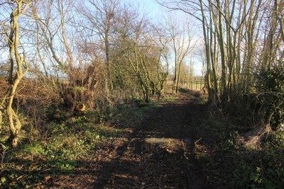 Photo 6x4 Track at Cary Fitzpaine This is a very undevelpoed grid square  c2017