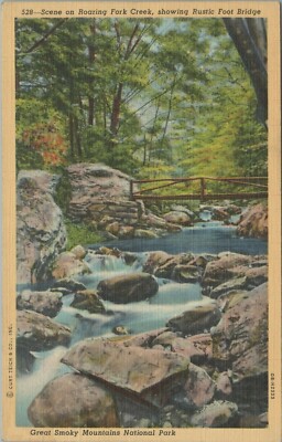 Scene Roaring Creek Foot Bridge Smoky Nat Park TN Posted Linen Vintage Post Card