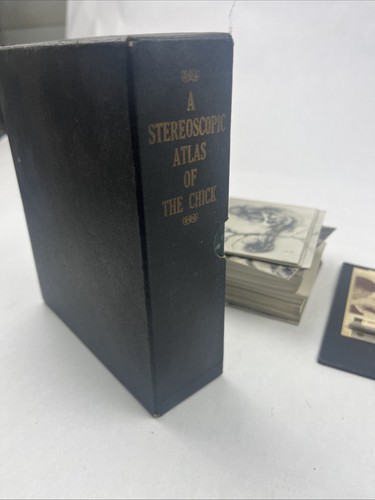 Stereoscopic Atlas of the Chick 113 Plates W/ Rare Folding Stereoscope - Picture 7 of 8