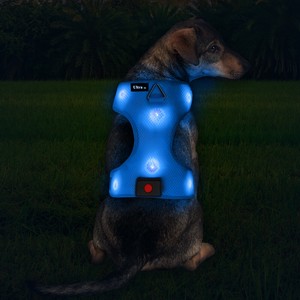 flashing dog harness