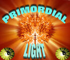 the-primordial-light
