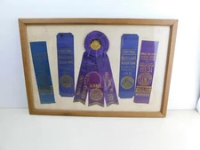  3 American Kennel Club MD 1st Prize Ribbons 1931 and 2 Wisconsin State Fair 