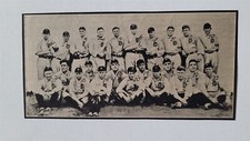 Tigers 1913 Black Border Team Picture Ty Cobb Sam Crawford Hugh High 