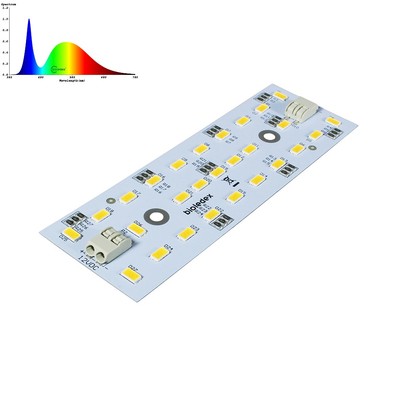 BIOLEDEX LED Modul 120x40mm 12VDC 13,5W 1350Lm 5000K OSRAM SMD LEDs dimmbar -408