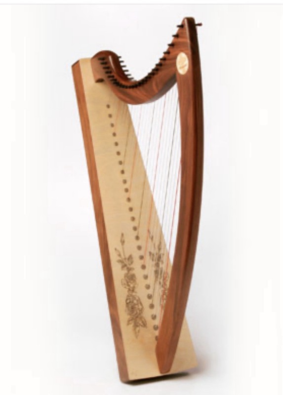 Triplett Christina therapy Harp 25 Strings