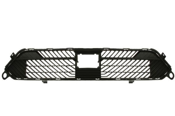 Front BLIC 5513-00-0542991P Radiator Grille for CITROËN