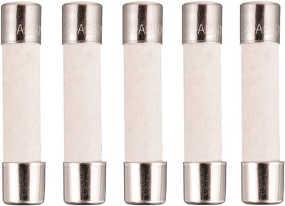 Supco CF20SB-5 Ceramic Slow Blow Microwave Fuse – 20 Amp, 5-Pack