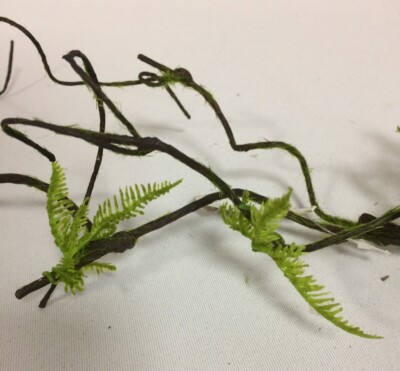 fargesia einpflanzen Fargesia robusta 'Formidable'