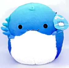 Squishmallow Cella Blue Bearded Dragon 13 Inch Plush S12 #1430 1430 2021 NWT 13"