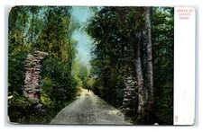 Postcard Drive in Lenox, MA Mass 1911 D17