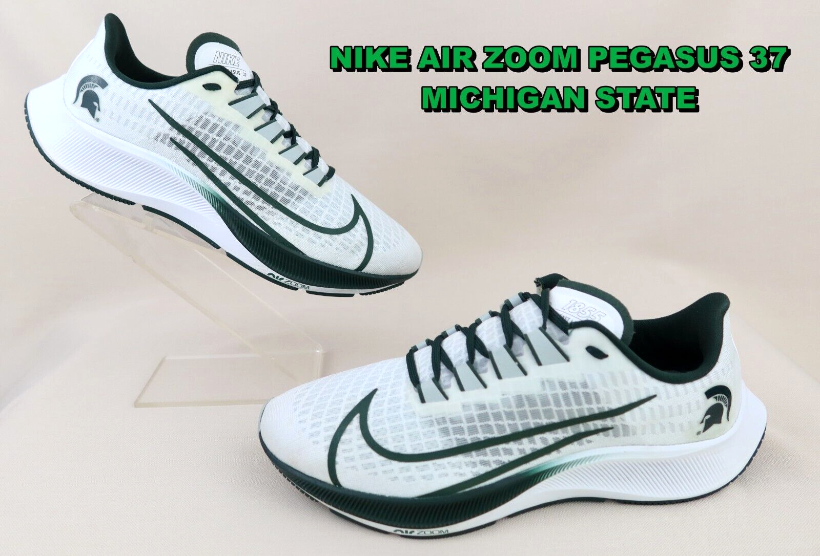 nike air zoom pegasus 37 raiders