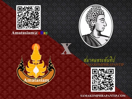 Phra Chaiwat (Nuer Nava)LP Koon wat banrai .BE 2536 Thai buddha amulet&card #3 - Picture 13 of 13