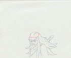 The Twelve Kingdoms Juuni Kokki Genga Douga Original Sketches Pierrot - Youko — photo 6