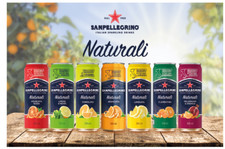 Image of San Pellegrino Orange / Lemon / Grapefruit 24 x 330ml Cans YOU CHOOSE NOT A MIX