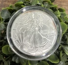 2006 Silver American Eagle Dollar $1 SILVER