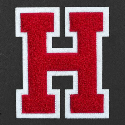 Chenille Stitch Varsity Letter Patch - Iron-On Or Sew, 4-1/2" High, Letter D