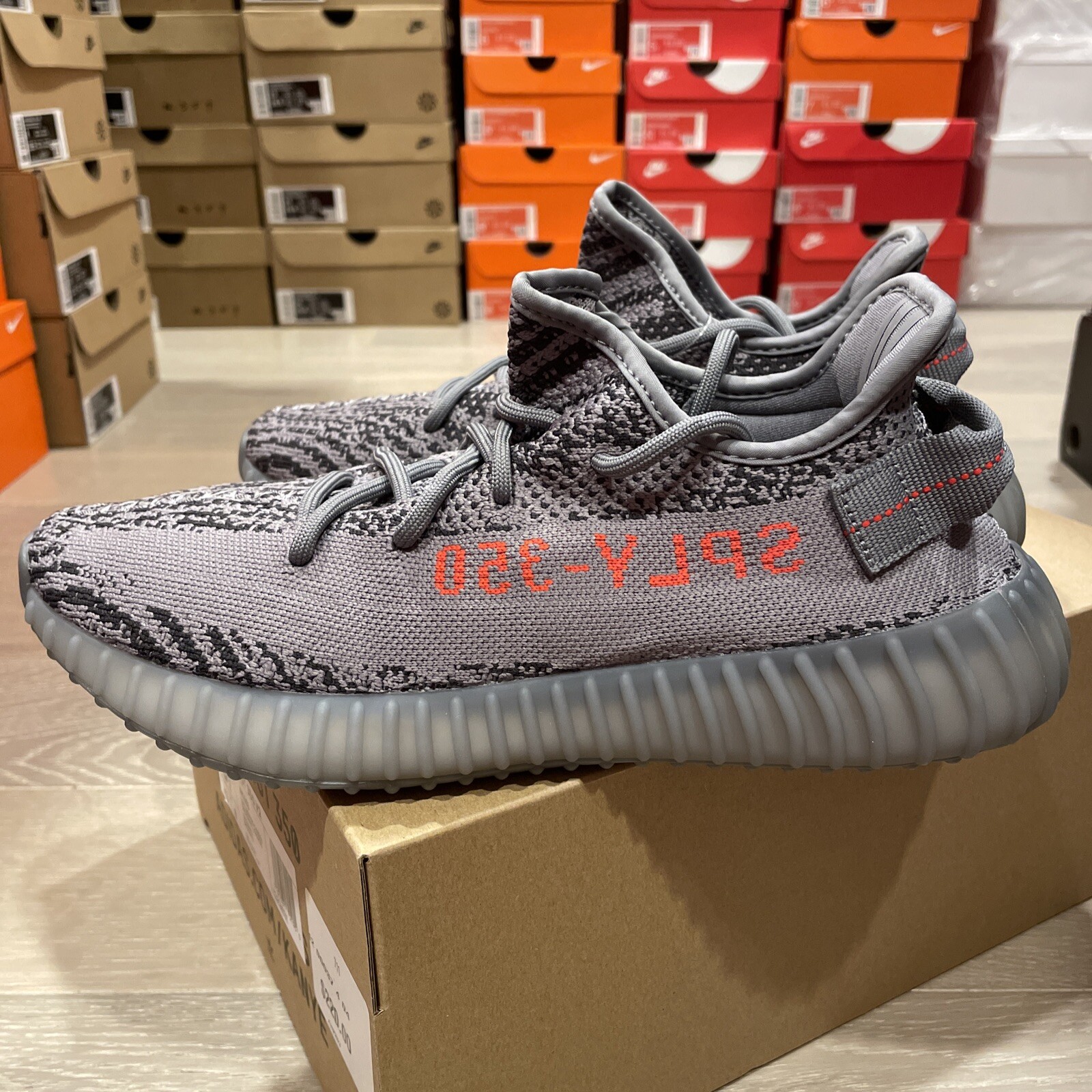 beluga 2.0 price