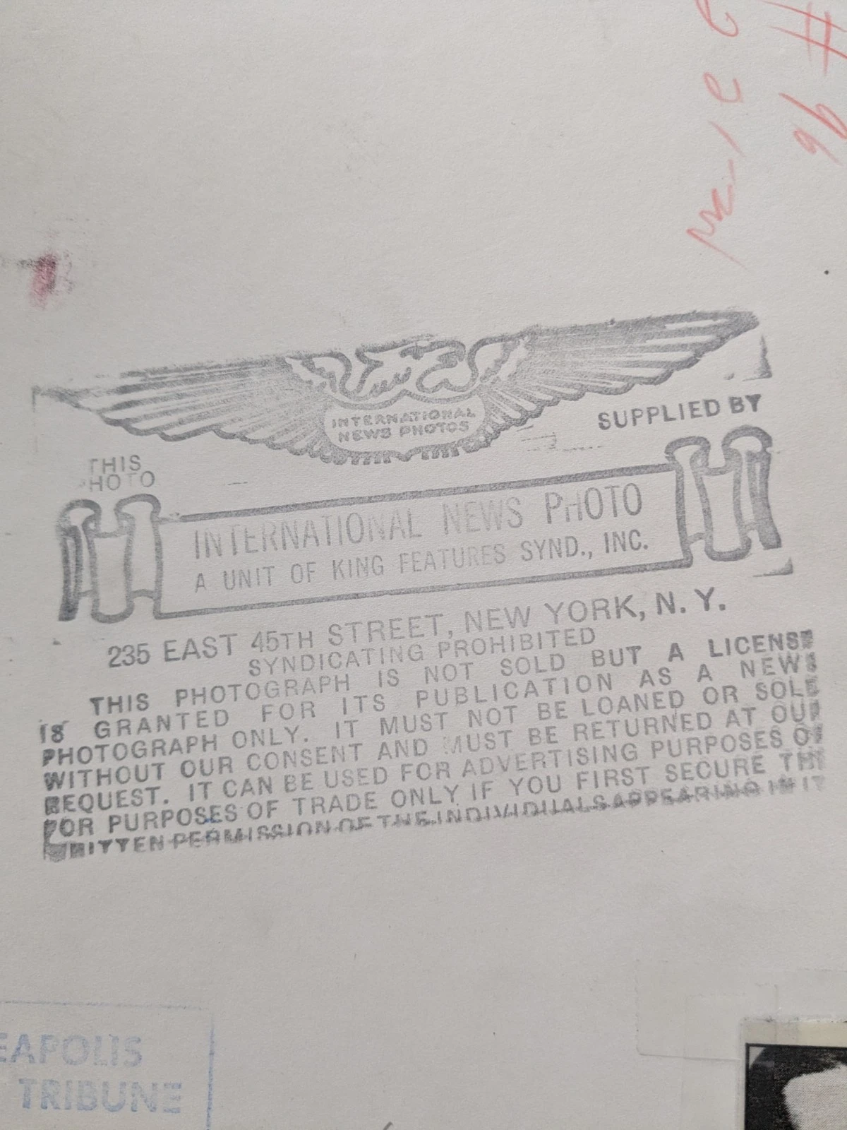 Rudolph Valentino、1926年国際ニュース写真最後の写真 - 画像3/5