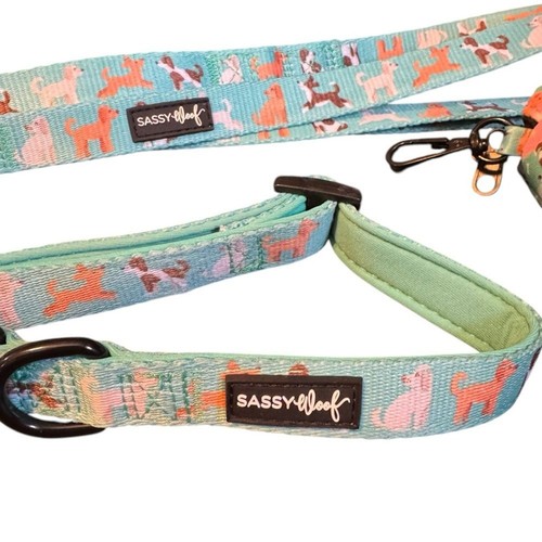 Sassy Woof Dog Leash, Collar, Waste Bag Set Bundle Doodle Collection Size M - 第 3/6 張圖片