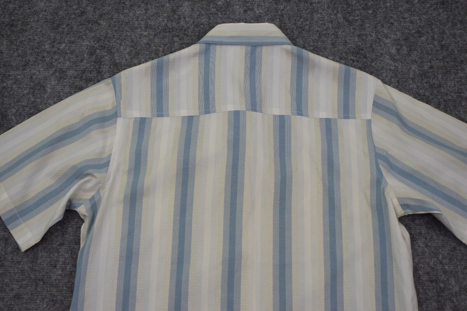 Picture 11 of 12