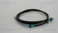 Triscan Bremsseil Seilzug Feststellbremse 8140 251153 FüR Dacia Duster SUV Tce