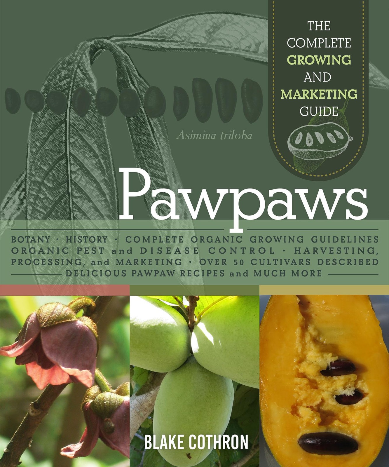 Pawpaws: The Complete Growing and Marketing Guide by Blake Cothron (PB 2021) - Image 4