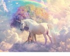 Magical Unicorn Wall Mural 258x190.5cm/101"×75.11" Not Self Adhesive 